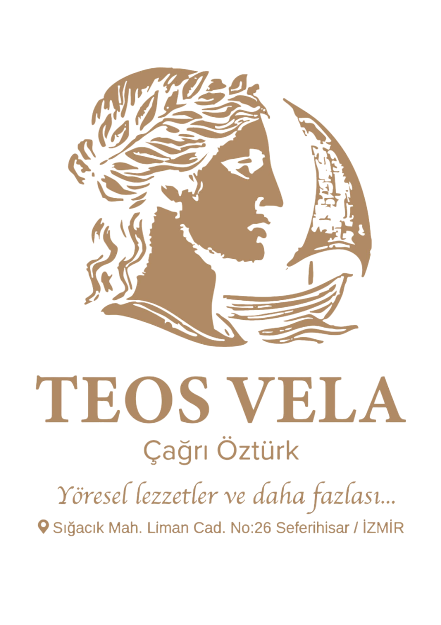 Teos Vela Logo